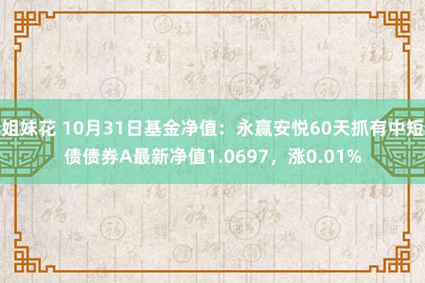姐妹花 10月31日基金净值：永赢安悦60天抓有中短债债券A最新净值1.0697，涨0.01%