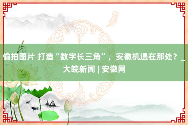 偷拍图片 打造“数字长三角”，安徽机遇在那处？_大皖新闻 | 安徽网