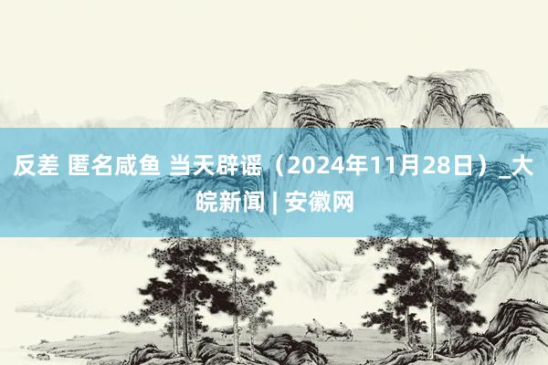 反差 匿名咸鱼 当天辟谣（2024年11月28日）_大皖新闻 | 安徽网