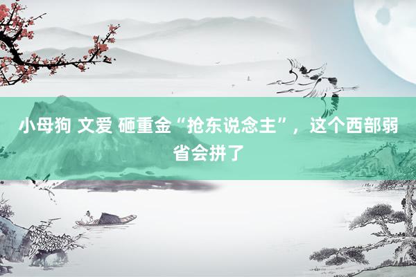 小母狗 文爱 砸重金“抢东说念主”，这个西部弱省会拼了