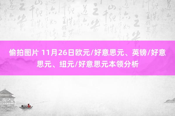 偷拍图片 11月26日欧元/好意思元、英镑/好意思元、纽元/好意思元本领分析