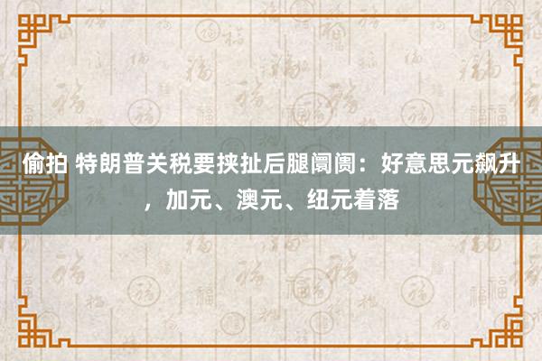 偷拍 特朗普关税要挟扯后腿阛阓：好意思元飙升，加元、澳元、纽元着落