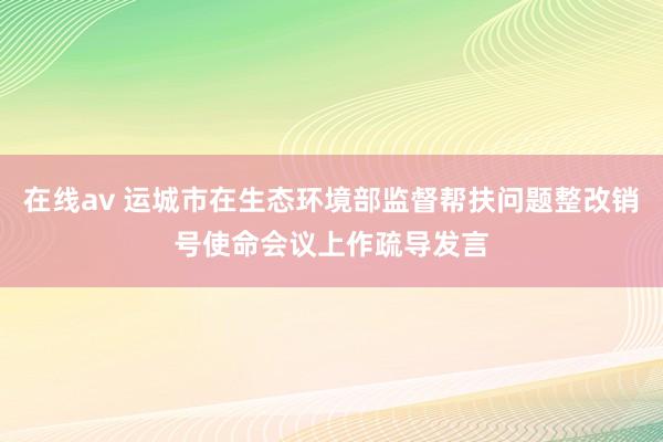 在线av 运城市在生态环境部监督帮扶问题整改销号使命会议上作疏导发言