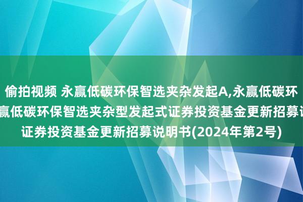 偷拍视频 永赢低碳环保智选夹杂发起A，永赢低碳环保智选夹杂发起C: 永赢低碳环保智选夹杂型发起式证券投资基金更新招募说明书(2024年第2号)