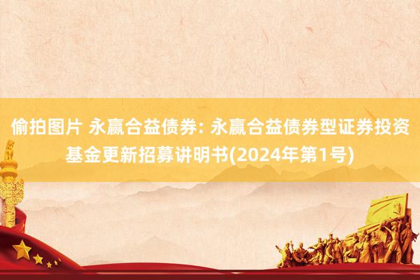 偷拍图片 永赢合益债券: 永赢合益债券型证券投资基金更新招募讲明书(2024年第1号)