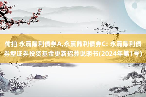 偷拍 永赢鼎利债券A，永赢鼎利债券C: 永赢鼎利债券型证券投资基金更新招募说明书(2024年第1号)