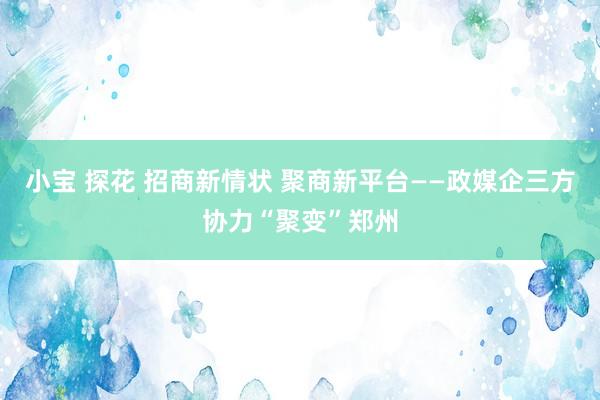 小宝 探花 招商新情状 聚商新平台——政媒企三方协力“聚变”郑州