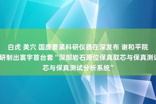 白虎 美穴 国度要紧科研仪器在深发布 谢和平院士团队生效研制出寰宇首台套“深部岩石原位保真取芯与保真测试分析系统”
