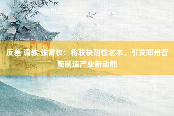 反差 调教 张霄牧：将联袂耐性老本，引发郑州智能制造产业新动能
