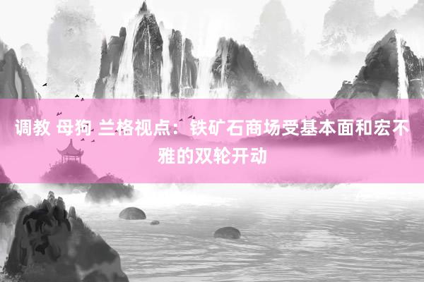 调教 母狗 兰格视点：铁矿石商场受基本面和宏不雅的双轮开动