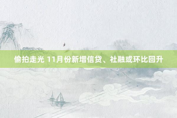 偷拍走光 11月份新增信贷、社融或环比回升