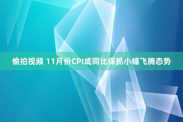 偷拍视频 11月份CPI或同比保抓小幅飞腾态势