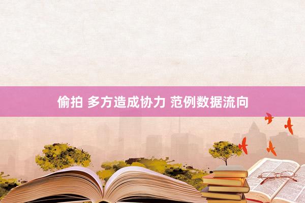 偷拍 多方造成协力 范例数据流向
