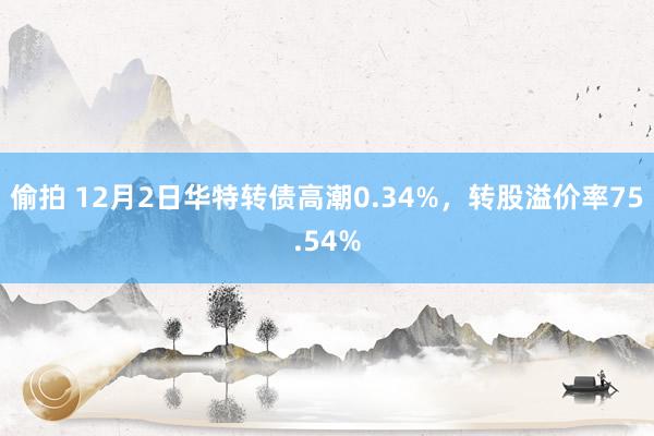 偷拍 12月2日华特转债高潮0.34%，转股溢价率75.54%
