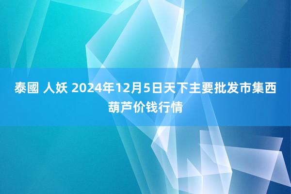 泰國 人妖 2024年12月5日天下主要批发市集西葫芦价钱行情