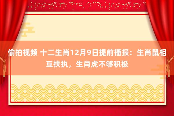 偷拍视频 十二生肖12月9日提前播报：生肖鼠相互扶执，生肖虎不够积极