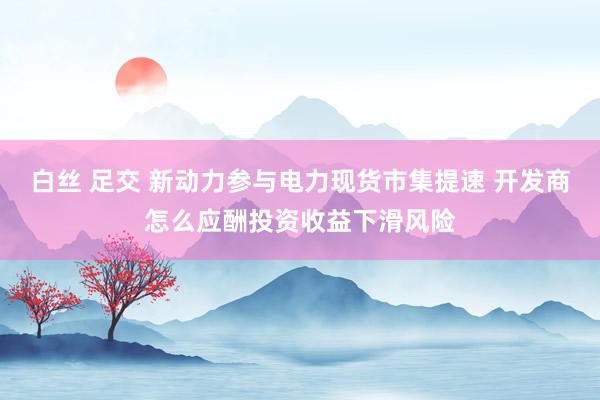 白丝 足交 新动力参与电力现货市集提速 开发商怎么应酬投资收益下滑风险