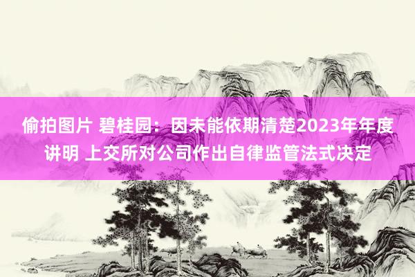 偷拍图片 碧桂园：因未能依期清楚2023年年度讲明 上交所对公司作出自律监管法式决定