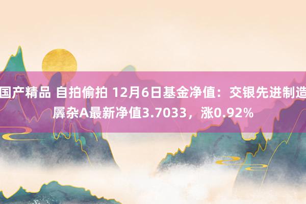 国产精品 自拍偷拍 12月6日基金净值：交银先进制造羼杂A最新净值3.7033，涨0.92%