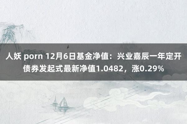 人妖 porn 12月6日基金净值：兴业嘉辰一年定开债券发起式最新净值1.0482，涨0.29%