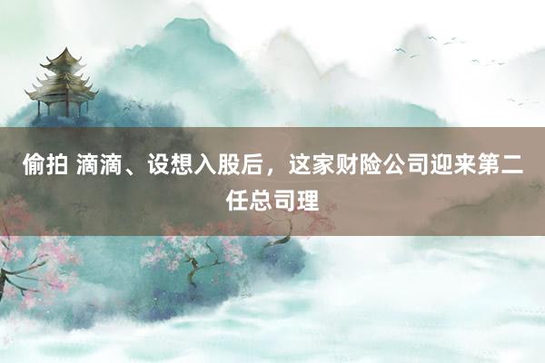 偷拍 滴滴、设想入股后，这家财险公司迎来第二任总司理
