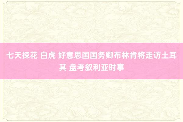 七天探花 白虎 好意思国国务卿布林肯将走访土耳其 盘考叙利亚时事