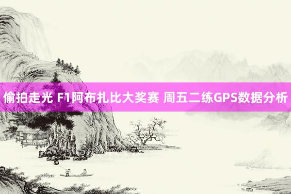 偷拍走光 F1阿布扎比大奖赛 周五二练GPS数据分析