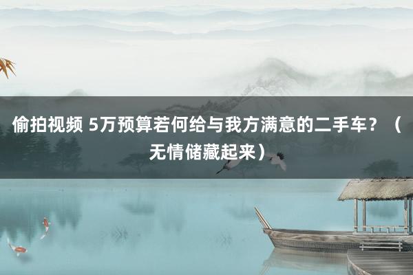 偷拍视频 5万预算若何给与我方满意的二手车？（无情储藏起来）