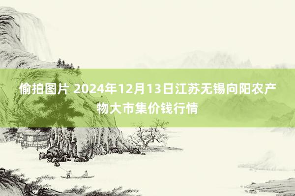 偷拍图片 2024年12月13日江苏无锡向阳农产物大市集价钱行情