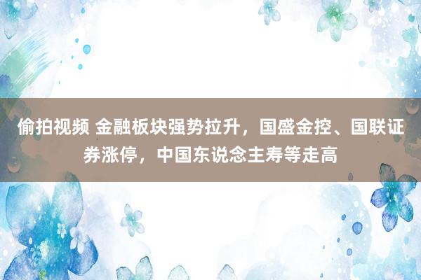 偷拍视频 金融板块强势拉升，国盛金控、国联证券涨停，中国东说念主寿等走高