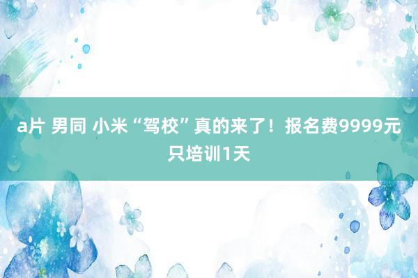 a片 男同 小米“驾校”真的来了！报名费9999元只培训1天