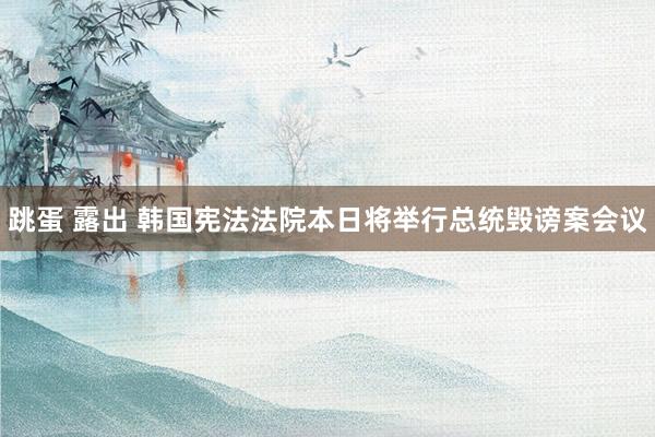 跳蛋 露出 韩国宪法法院本日将举行总统毁谤案会议