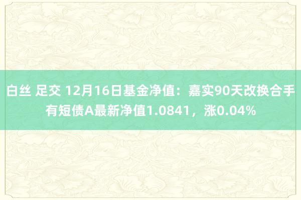 白丝 足交 12月16日基金净值：嘉实90天改换合手有短债A最新净值1.0841，涨0.04%