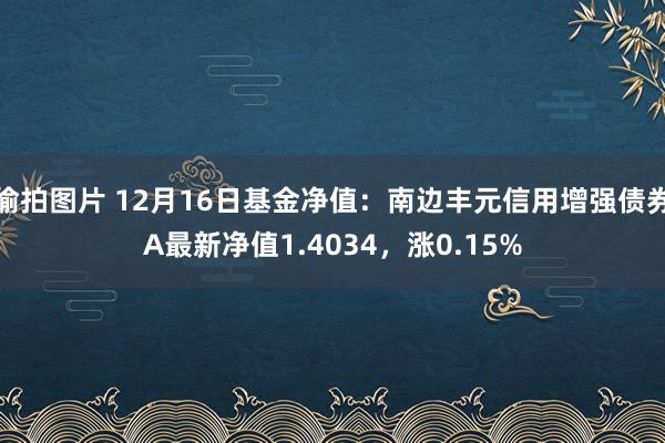 偷拍图片 12月16日基金净值：南边丰元信用增强债券A最新净值1.4034，涨0.15%