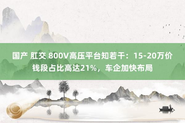 国产 肛交 800V高压平台知若干：15-20万价钱段占比高达21%，车企加快布局