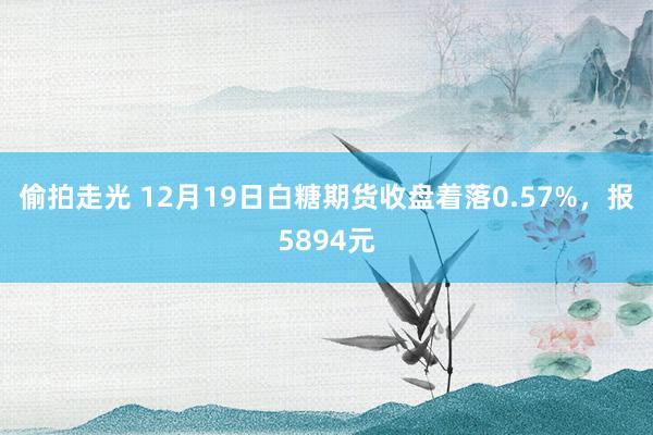 偷拍走光 12月19日白糖期货收盘着落0.57%，报5894元