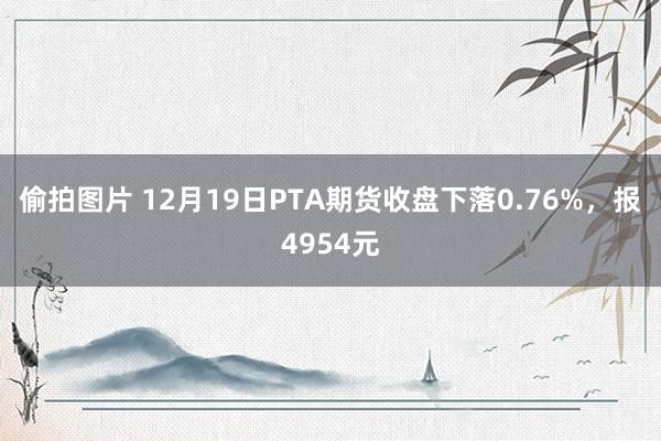 偷拍图片 12月19日PTA期货收盘下落0.76%，报4954元