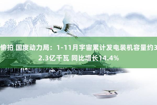 偷拍 国度动力局：1-11月宇宙累计发电装机容量约32.3亿千瓦 同比增长14.4%