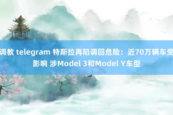 调教 telegram 特斯拉再陷调回危险：近70万辆车受影响 涉Model 3和Model Y车型