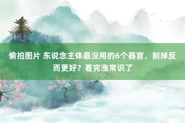 偷拍图片 东说念主体最没用的6个器官，割掉反而更好？看完涨常识了