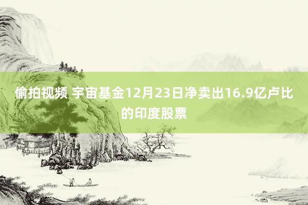 偷拍视频 宇宙基金12月23日净卖出16.9亿卢比的印度股票