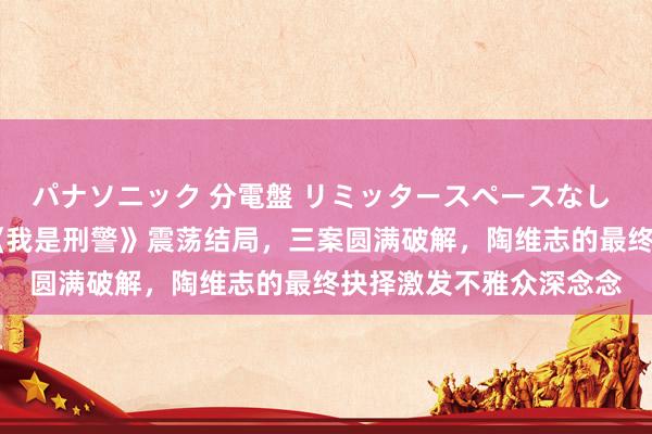 パナソニック 分電盤 リミッタースペースなし 露出・半埋込両用形 《我是刑警》震荡结局，三案圆满破解，陶维志的最终抉择激发不雅众深念念