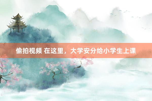 偷拍视频 在这里，大学安分给小学生上课