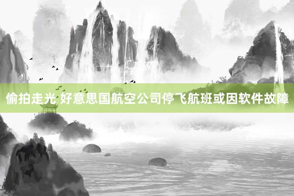偷拍走光 好意思国航空公司停飞航班或因软件故障