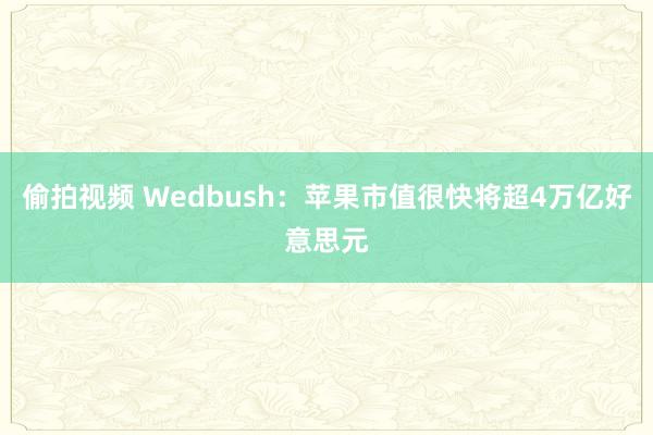 偷拍视频 Wedbush：苹果市值很快将超4万亿好意思元