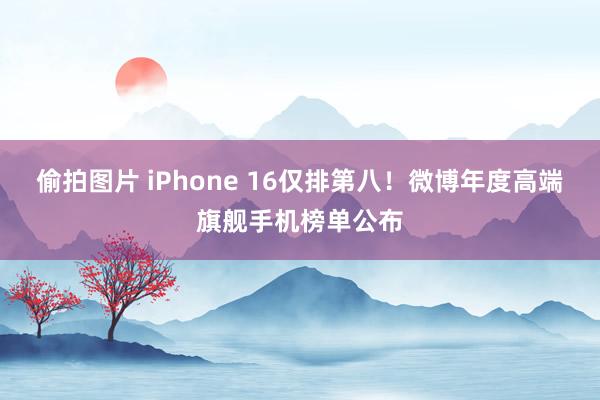 偷拍图片 iPhone 16仅排第八！微博年度高端旗舰手机榜单公布