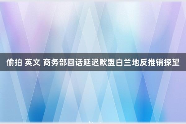 偷拍 英文 商务部回话延迟欧盟白兰地反推销探望