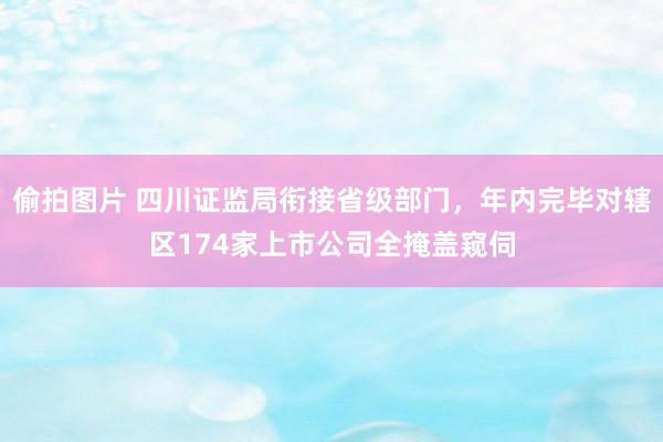 偷拍图片 四川证监局衔接省级部门，年内完毕对辖区174家上市公司全掩盖窥伺