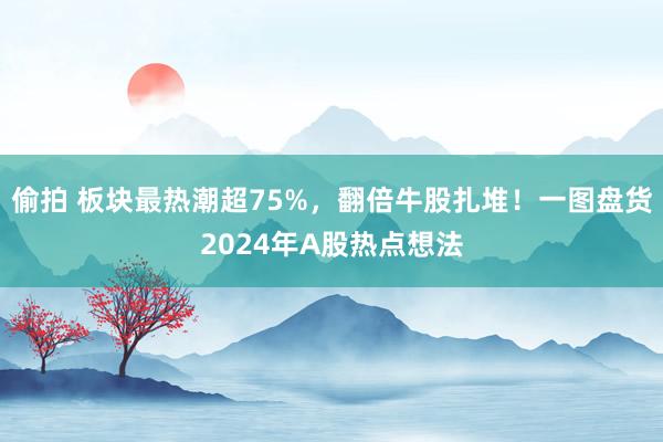 偷拍 板块最热潮超75%，翻倍牛股扎堆！一图盘货2024年A股热点想法