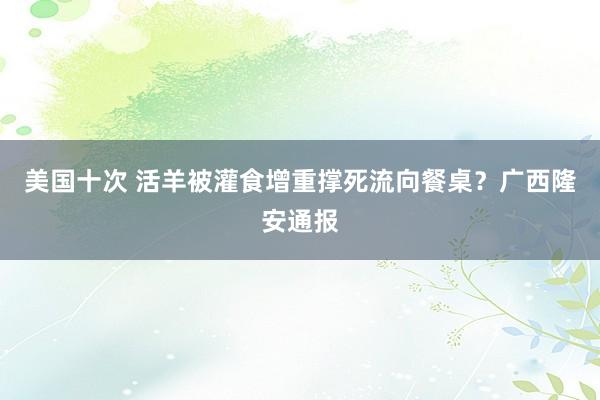 美国十次 活羊被灌食增重撑死流向餐桌？广西隆安通报